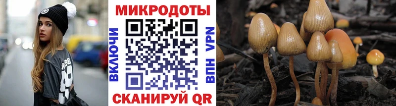 Купить  Кинешма  Псилоцибиновые грибы Psilocybine cubensis 